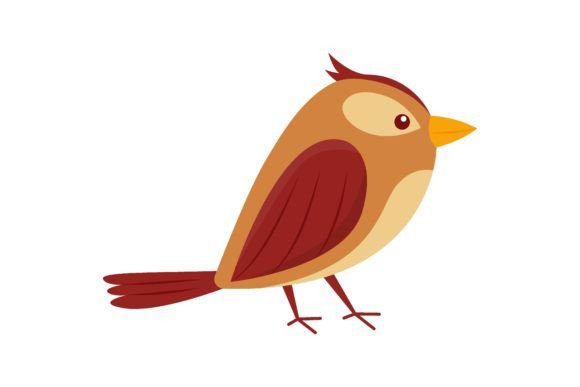 Download Cartoon Drawing of Forest Bird Jay Isola - Cartoon Collection