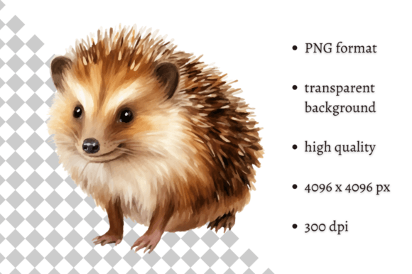 Download Watercolor Woodland Hedgehog PNG Clipart - Premium Resources