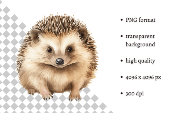 Download Watercolor Woodland Hedgehog PNG Clipart - Premium Resources