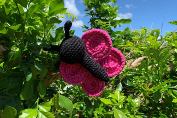 Download Flutter the Butterfly - Flutter Collection