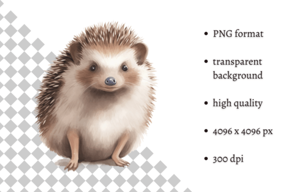 Download Watercolor Woodland Hedgehog PNG Clipart - Premium Resources